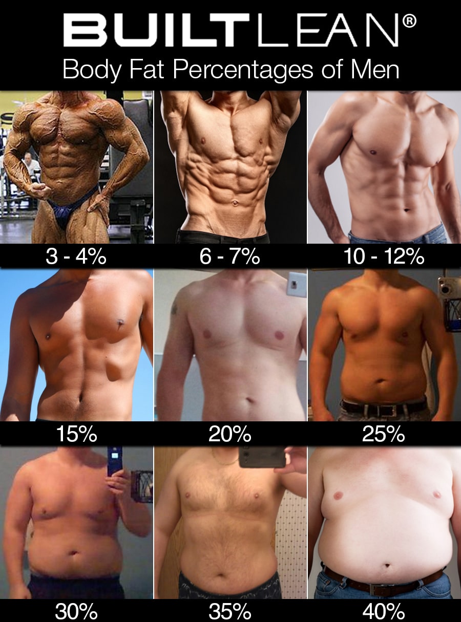 Body fat percentages in men images
