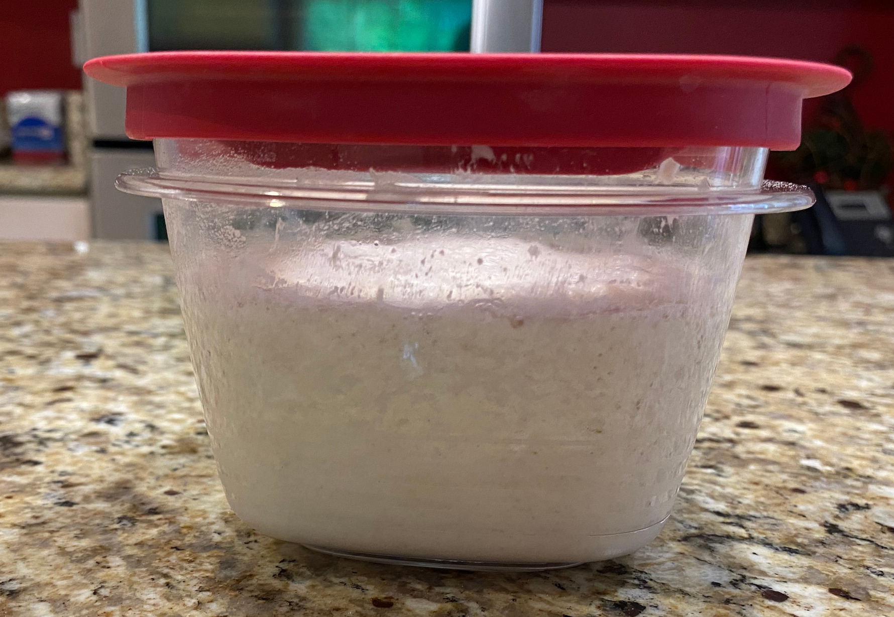 Starter 28 hours after second feeding from the top
