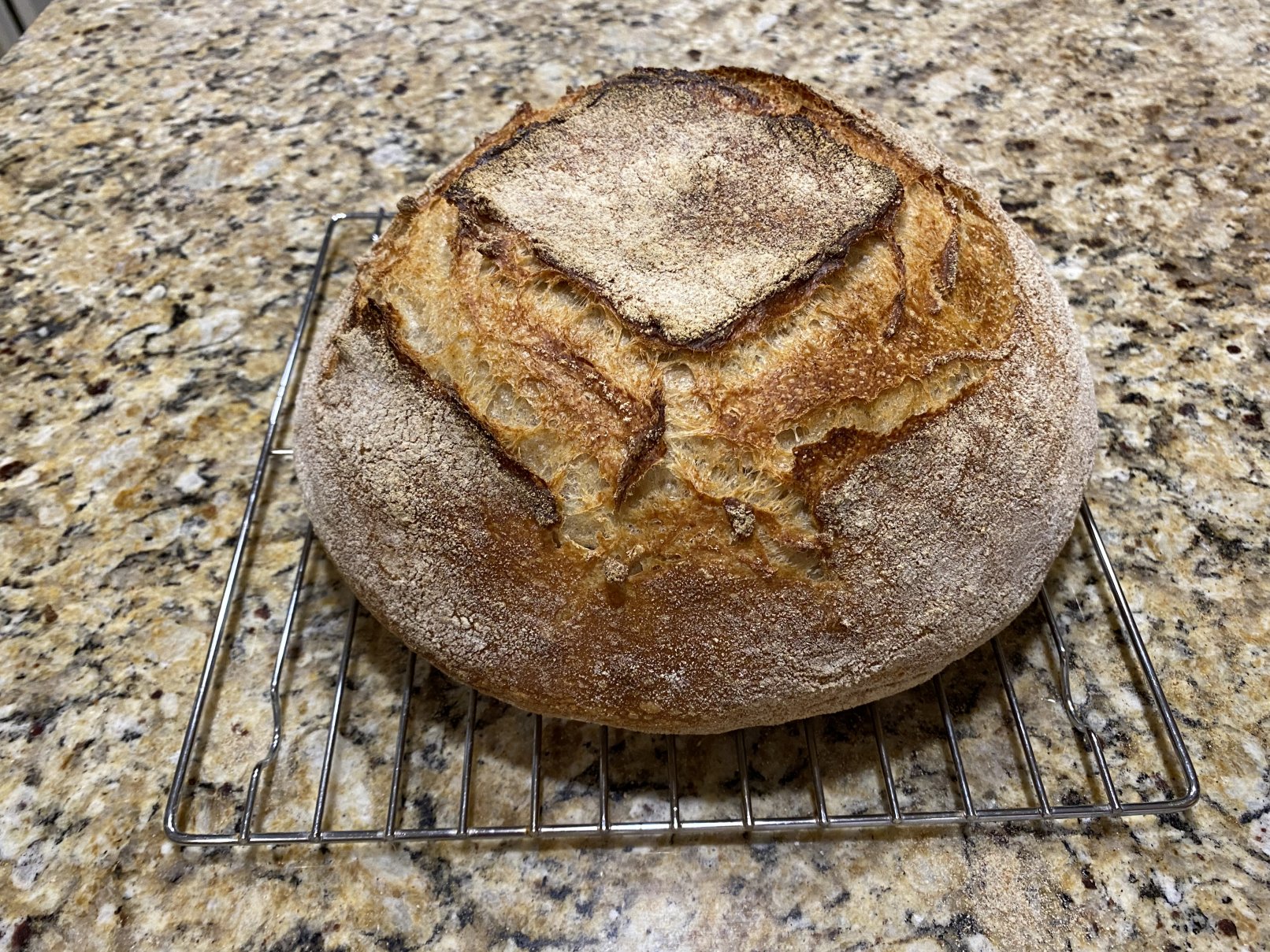 Tartine loaf made from starter