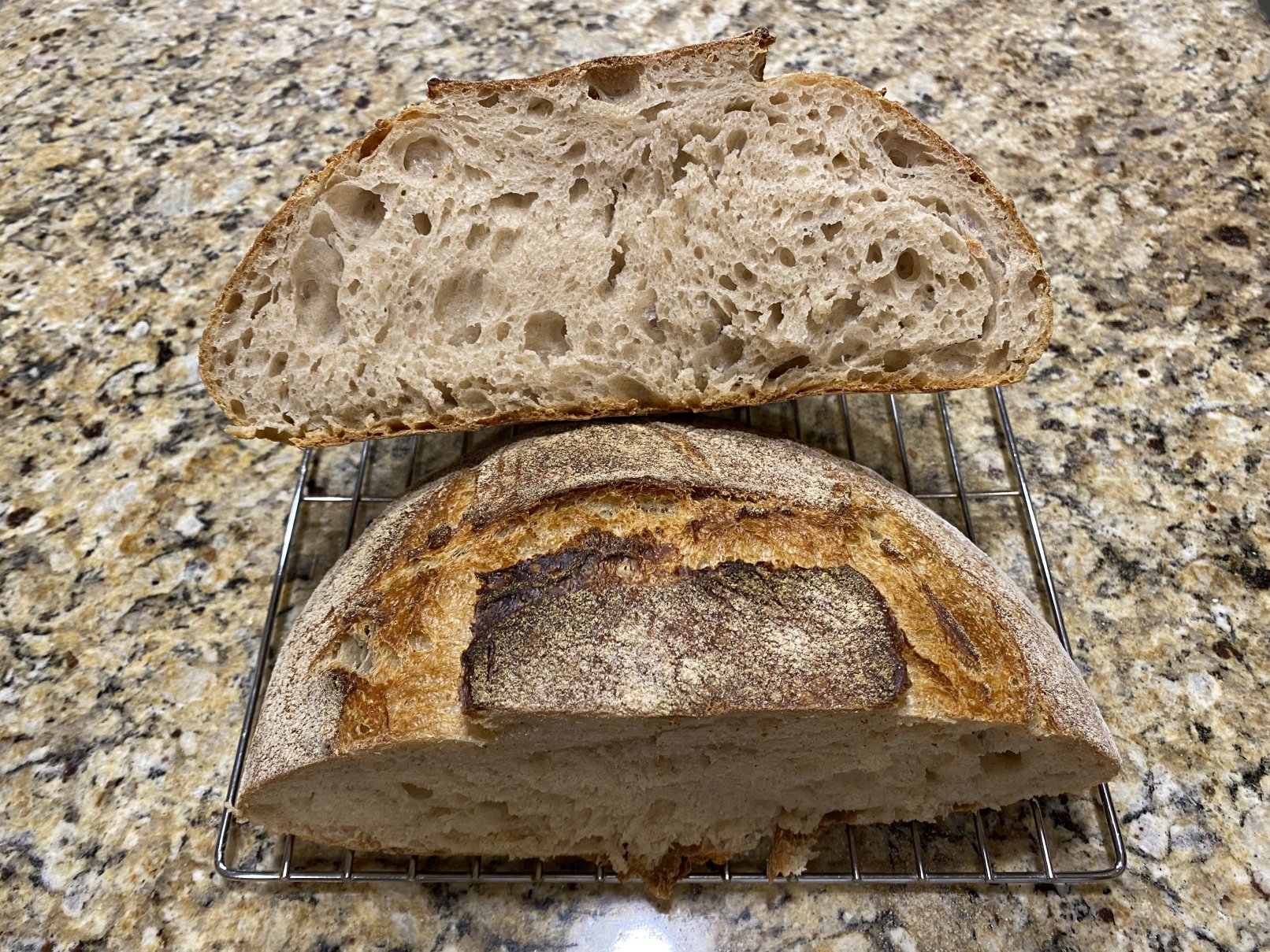 Tartine loaf made from starter interior (crumb)