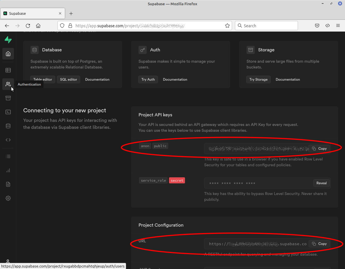 Screenshot of Supabase project home screen showing Project API and URL