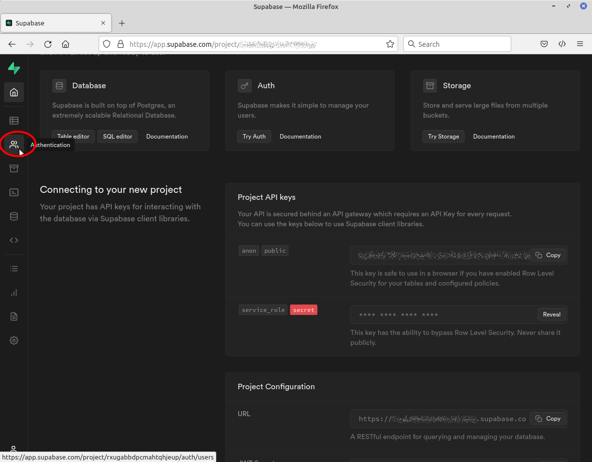 Screenshot showing where the Authentication toolbar icon highlighted