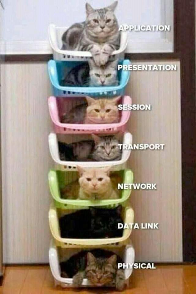 The OSI Stack as shown with cats in stacked bins